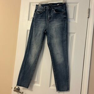 Judy Blue Shelley High Rise Relaxed Slim Straight Jeans